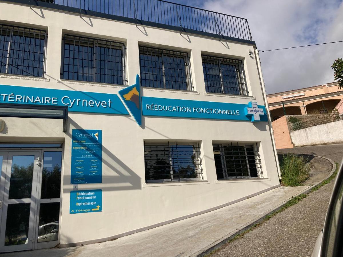 Location Chambre Avec Salle De Bain Et Partie Commune Sea View & Mountain View Renting 1 Of 3 Bedrooms With Shared Common Space 3 Bdrm Apt Not 1 Bdrm Plus Clime Ou Ac Бастия Экстерьер фото