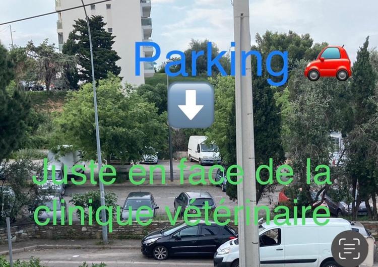 Location Chambre Avec Salle De Bain Et Partie Commune Sea View & Mountain View Renting 1 Of 3 Bedrooms With Shared Common Space 3 Bdrm Apt Not 1 Bdrm Plus Clime Ou Ac Бастия Экстерьер фото